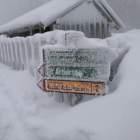 Apartman Arberblick 20 Bayerisch Eisenstein Zewnętrze zdjęcie
